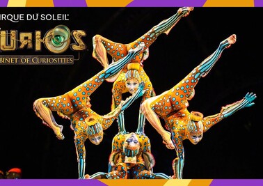 Дюссолей цирк